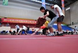 某体育记者爆料视频最新,最新视频揭秘赛事幕后真相