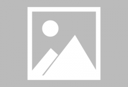 原神内鬼2.8爆料视频,新角色、新活动大揭秘！