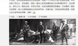 徐州饭店爆料事件始末视频,真相与争议的发酵历程