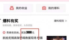 今日头条山东爆料视频,网友热议！