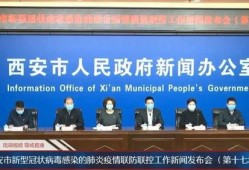 西安飞翔最新爆料新闻报道,揭秘项目进展与未来规划