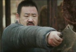 蟑居在线观看,揭秘都市蟑螂生存秘境