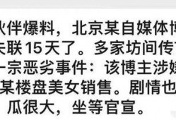 房地产女销售爆料视频,真实爆料视频深度解析